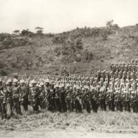 Zulutrade vietnam